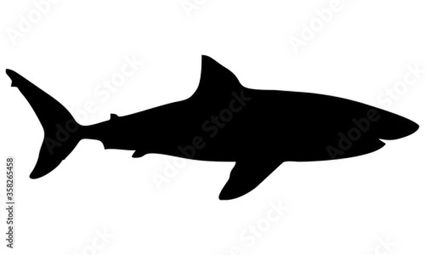 Fototapeta shark silhouette isolated on white