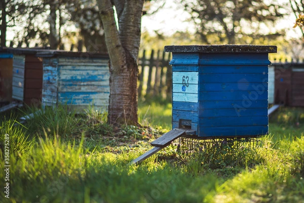 Obraz beehive, bee, ul, honey