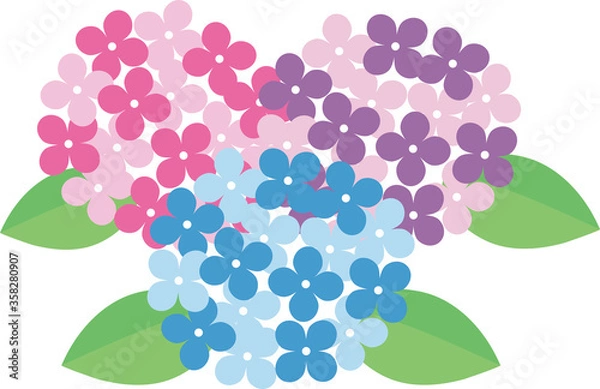 Obraz 紫陽花あじさい