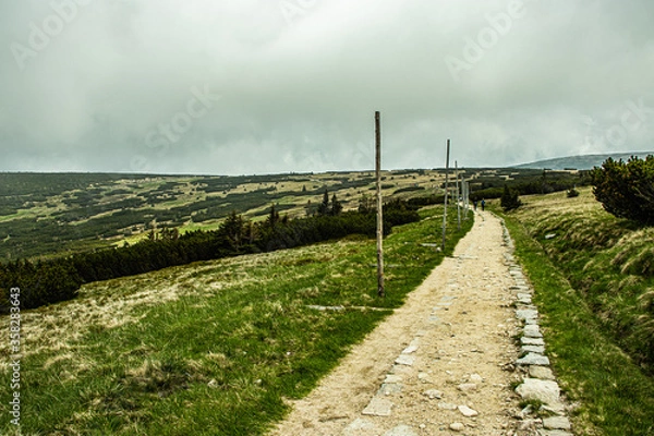 Obraz Mountain path in Karkonsze Poland path to Śnieżka
