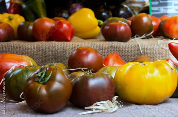 Fototapeta Pomodori
