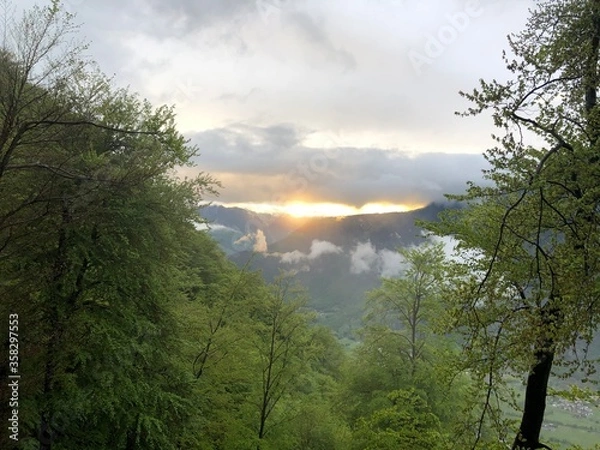 Obraz sunset in the forest