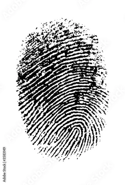 Obraz Highly detailed vector fingerprint