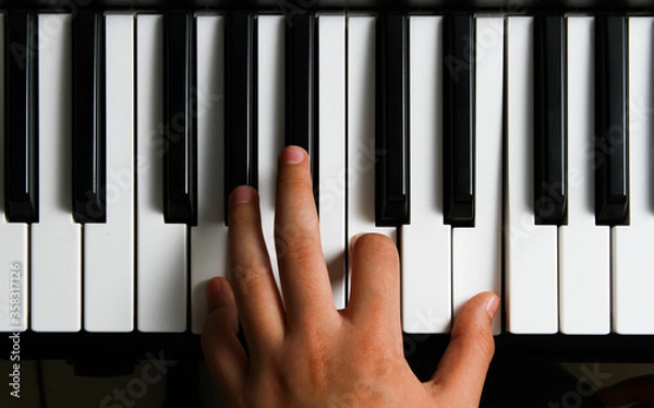 Obraz hands playing piano