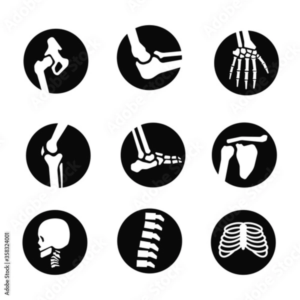 Fototapeta human bone and joint icon set flat design