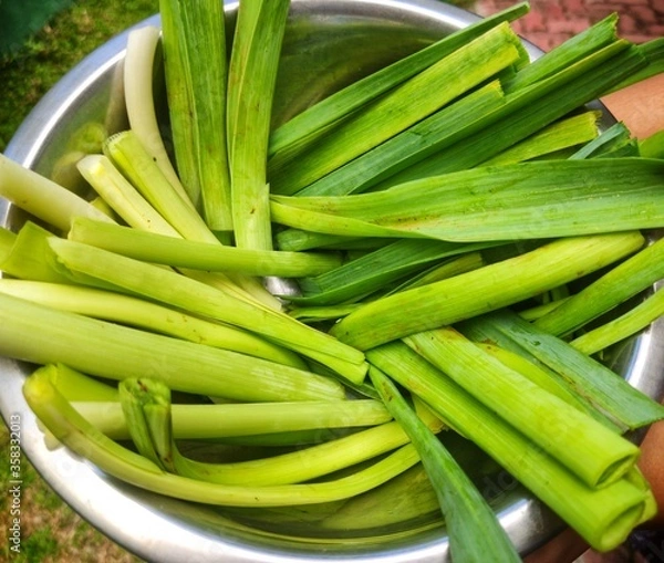 Obraz Fresh leeks in srilankan market