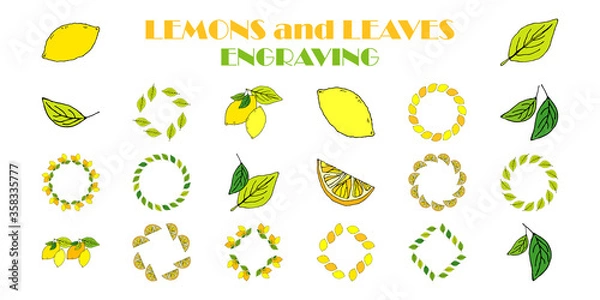 Fototapeta Set: Lemon vector pattern. Tropical summer citrus fruit engraved style background. Vector illustration for web design or print.