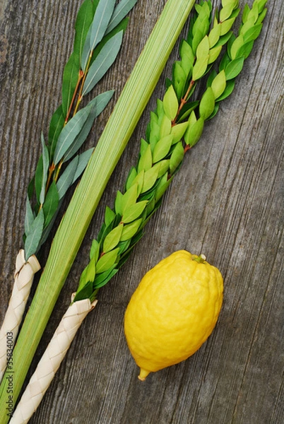 Obraz Lulav i Etrog
