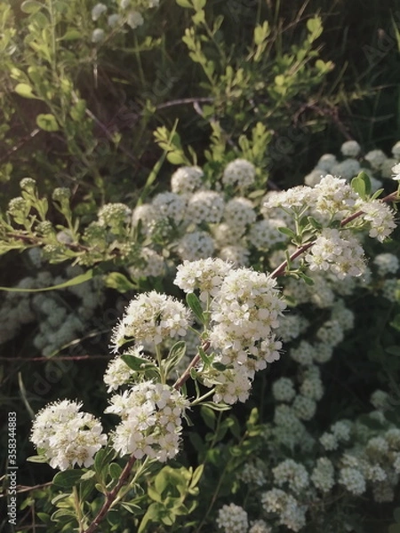 Fototapeta Processed with VSCO with a6 preset