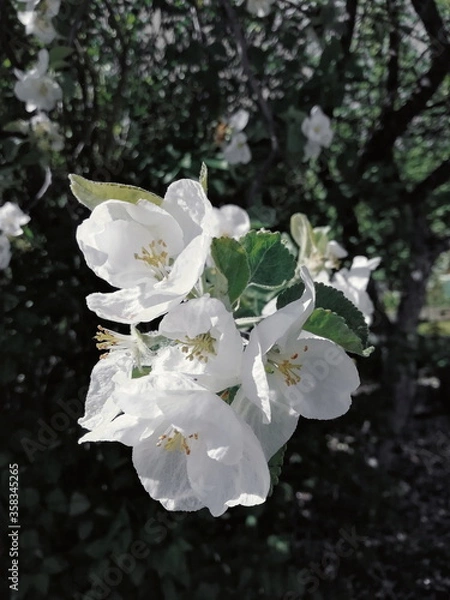 Obraz Processed with VSCO with u3 preset