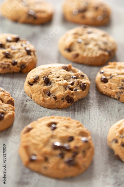 Obraz chocolate chip cookies