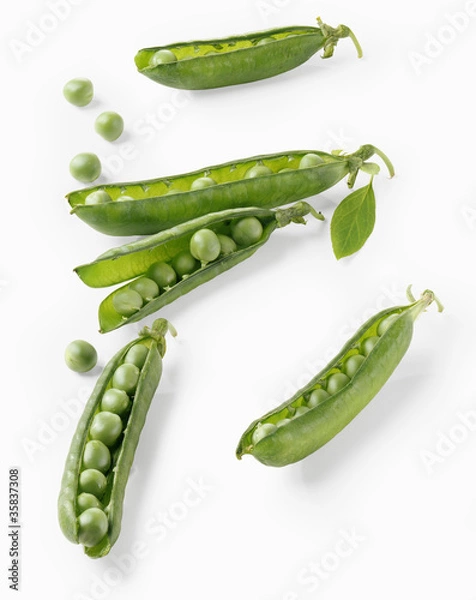 Obraz Petits pois en cosses