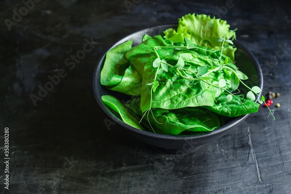 Fototapeta green salad spinach, arugula, lettuce, microgreen Menu concept serving size. food background top view copy space for text organic healthy eating keto or paleo diet