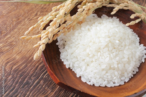 Fototapeta 新米あきたこまち