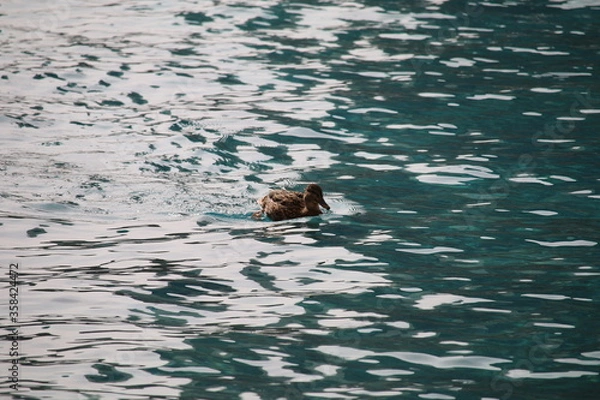 Obraz Las Vegas Nevada