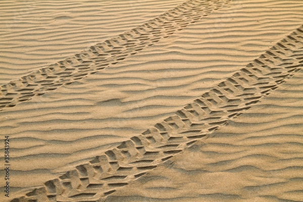 Obraz All Terrain Vehicle Tracks On Sand