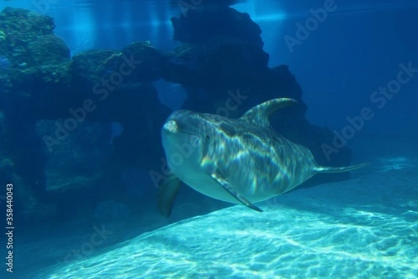 Obraz Las Vegas Nevada