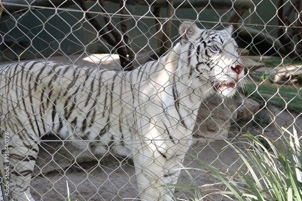 Obraz Las Vegas Nevada