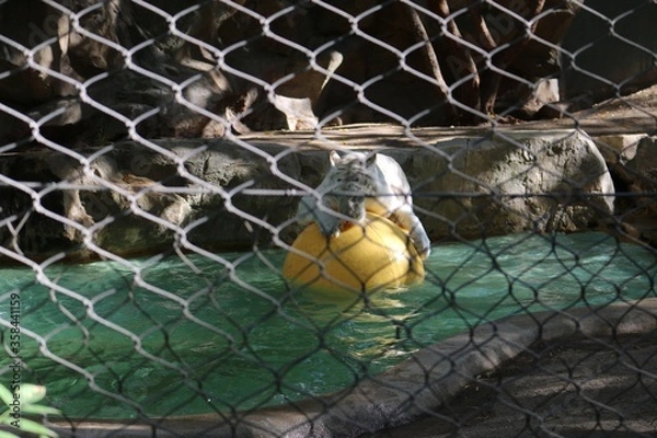 Obraz Las Vegas Nevada