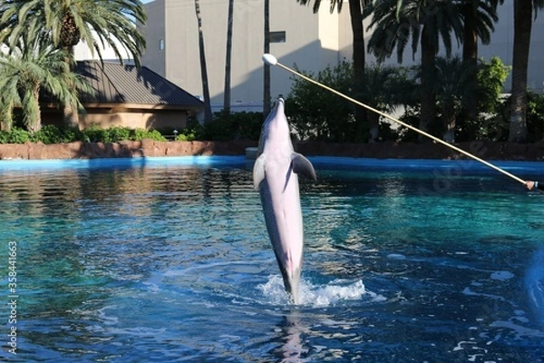 Obraz Las Vegas Nevada