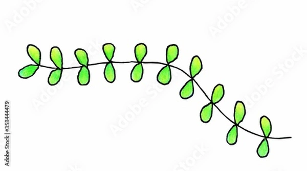 Fototapeta green algae do not grow at the bottom of the ocean