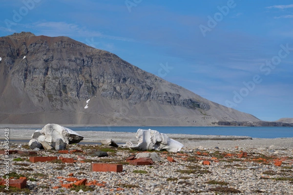 Fototapeta Whale bones with red bricks on a landing site called "Gashamna" which is located at "Hornsund" on Spitsbergen. The ocean and mountains in the background.