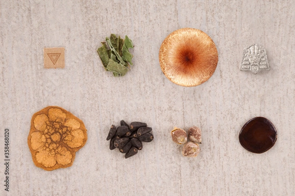 Obraz Psychedelic assisted psychotherapy.