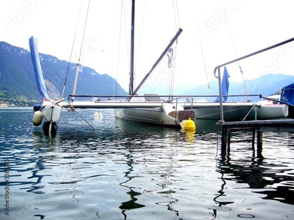 Obraz Voilier de course