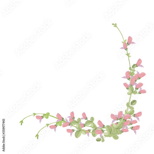 Fototapeta 萩の花水彩画フレーム