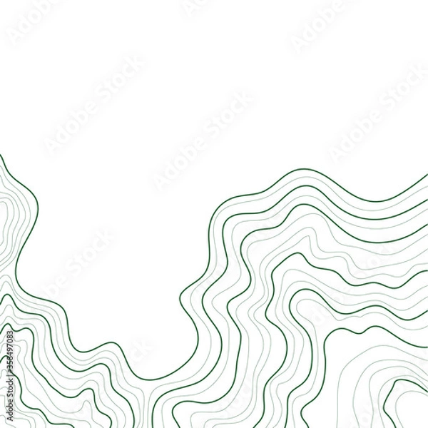 Obraz topographic map abstract height lines isolated on white background vector