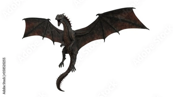 Fototapeta 3d rendered black dragon isolated on white background