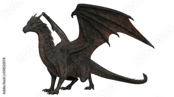 Obraz 3d rendered black dragon isolated on white background