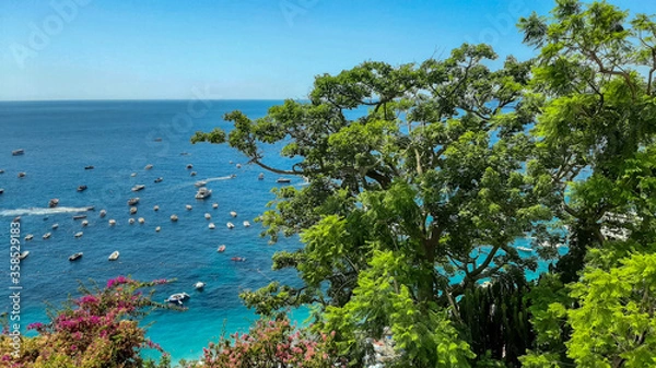 Obraz palm trees and sea