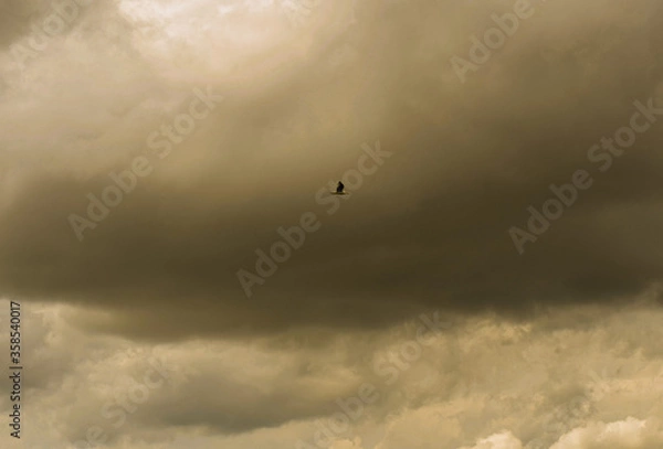 Fototapeta clouds in the sky