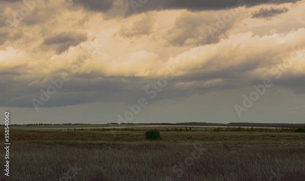Fototapeta clouds in the sky