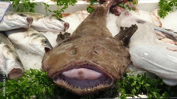 Obraz Cadiz Seeteufel