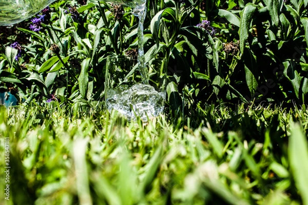 Obraz green grass background