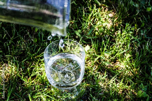 Obraz water drops on the grass