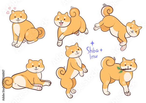Fototapeta Set of dogs shiba inu breed isolated on a white background. Vector graphics.