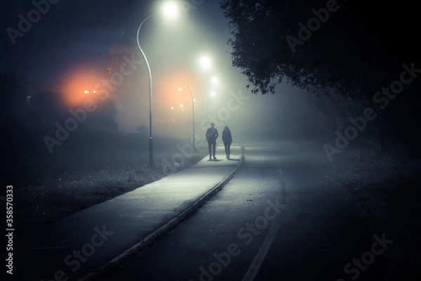 Obraz a couple walks through a misty Park