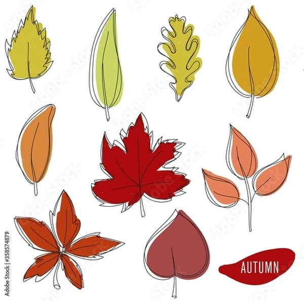 Obraz Set of hand drawn vector autumn leaves.
