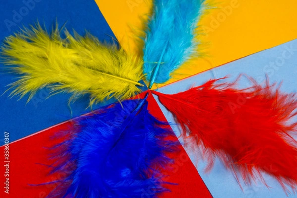 Fototapeta multi colored decorative feathers. 