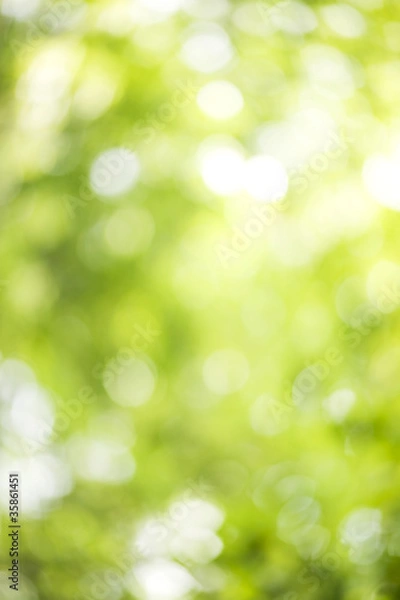 Obraz Green background