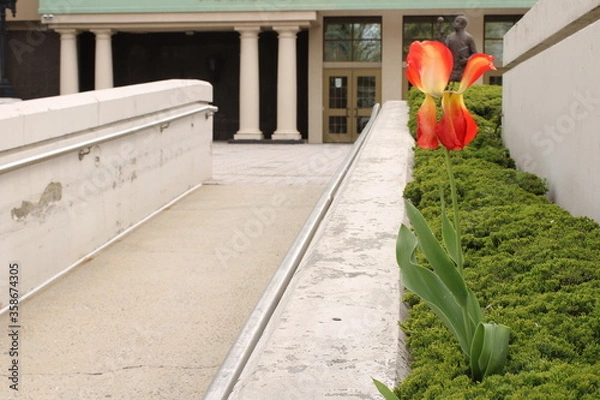 Obraz Plantas en la ciudad