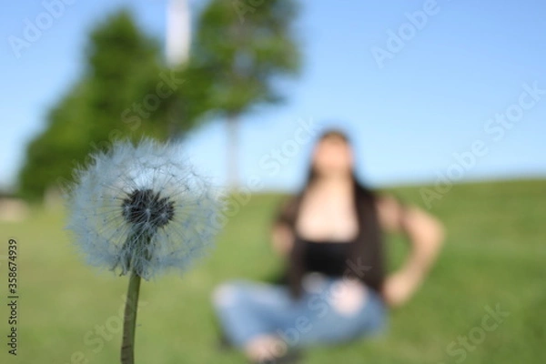 Obraz Plantas en la ciudad
