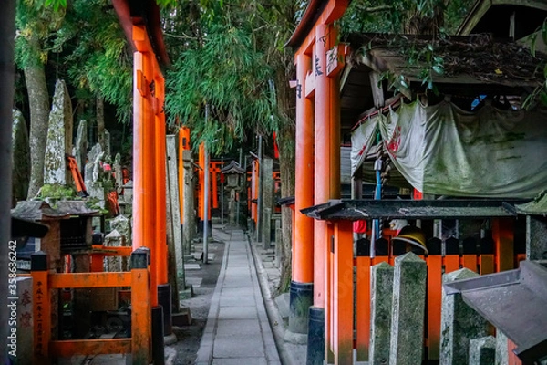 Fototapeta 伏見稲荷大社