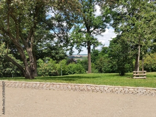 Obraz El parque de Praga