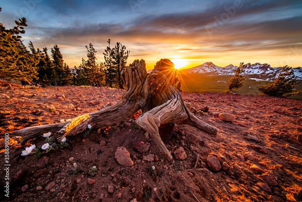 Fototapeta Sunset burst with mountain background