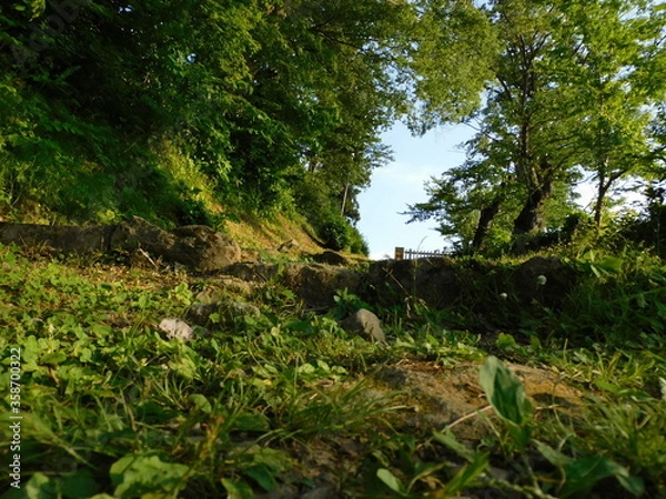 Obraz この先に続くものは。。。