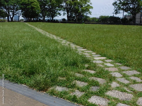 Obraz はらっぱに走る石畳